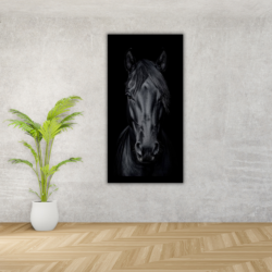 Cuadro Rostro de caballo negro brillante