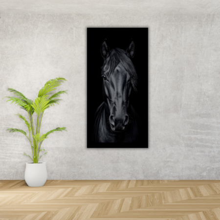 Cuadro Rostro de caballo negro brillante