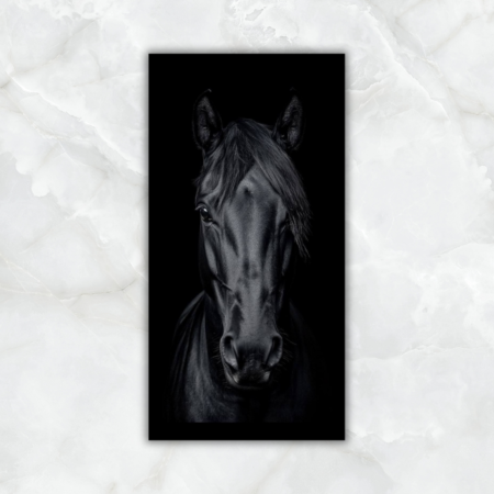 Cuadro Rostro de caballo negro brillante - Imagen 2