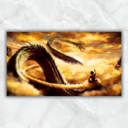 Cuadro Dragon ball - Shenron and Goku 0001