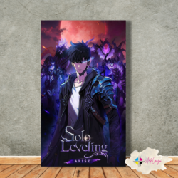 Cuadro Solo Leveling - sung jin woo 008