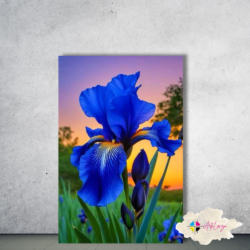 Cuadros Naturaleza - Arte 022