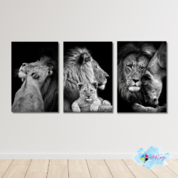Cuadro decorativo Pack 3 cuadros Leones blanco y negro