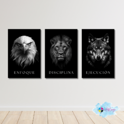Cuadro decorativo Pack 3 cuadros animales Blanco y negro 001