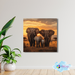 Cuadro de Animales - Elefante 014