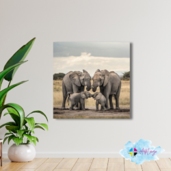 Cuadro de Animales - Elefante 019