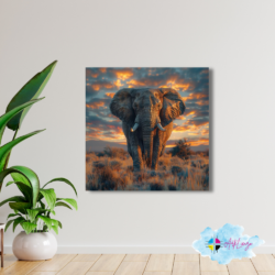 Cuadro de Animales - Elefante 024