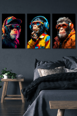 Cuadro decorativo Pack 3 cuadros monos raperos 001