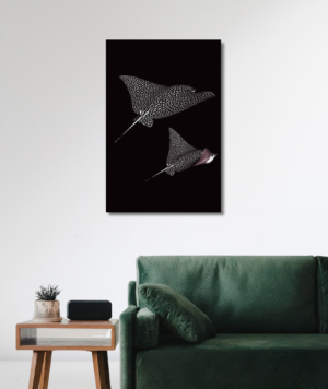 Mantarrayas nadando en un fondo oscuro