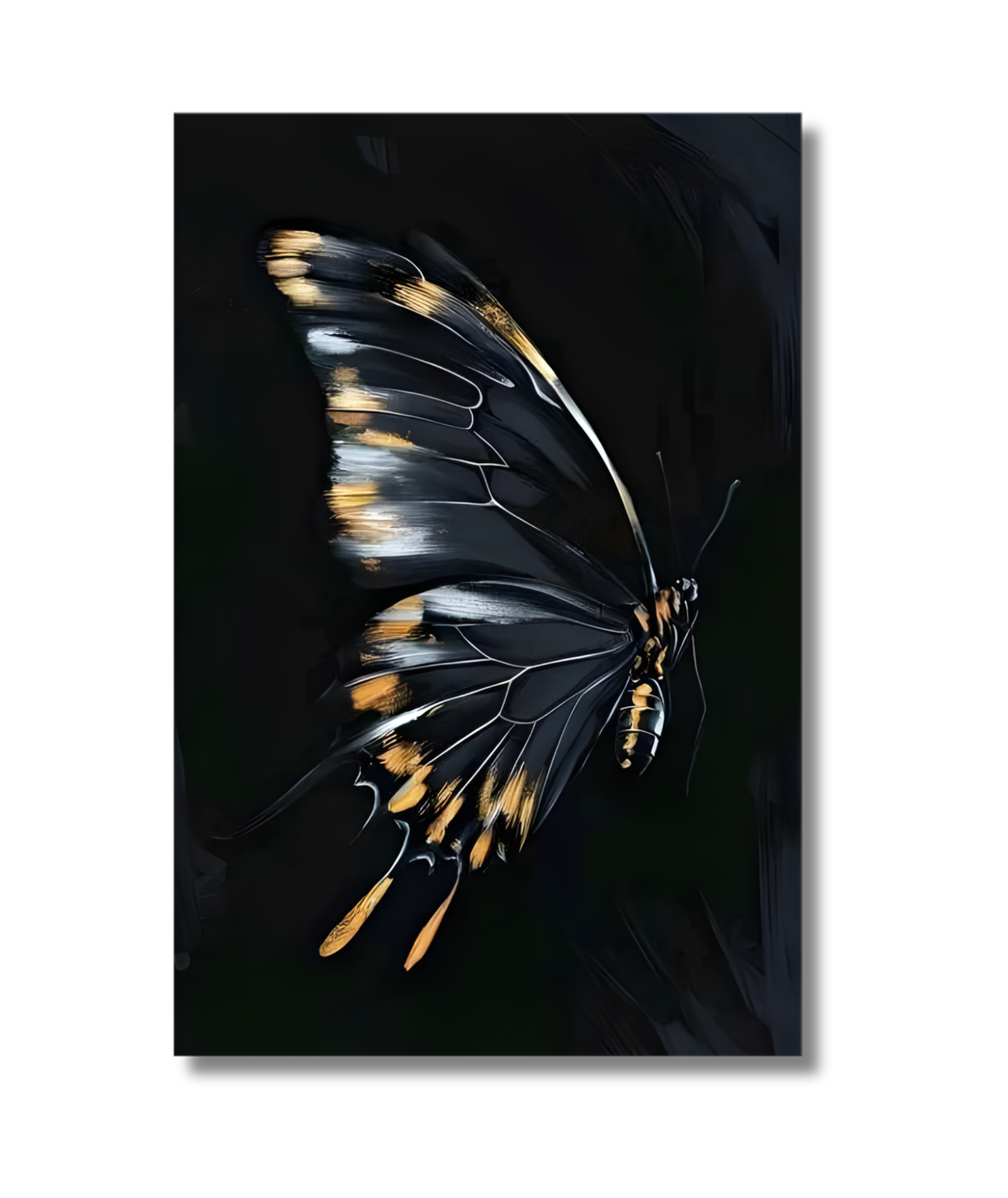Mariposa en fondo negro - Imagen 2