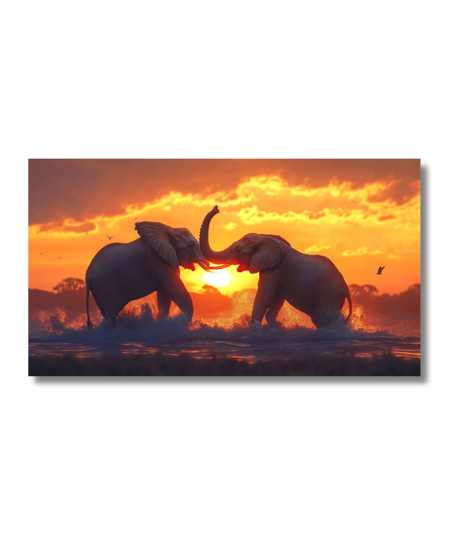 Elefantes luchando en puesta de sol - Imagen 2