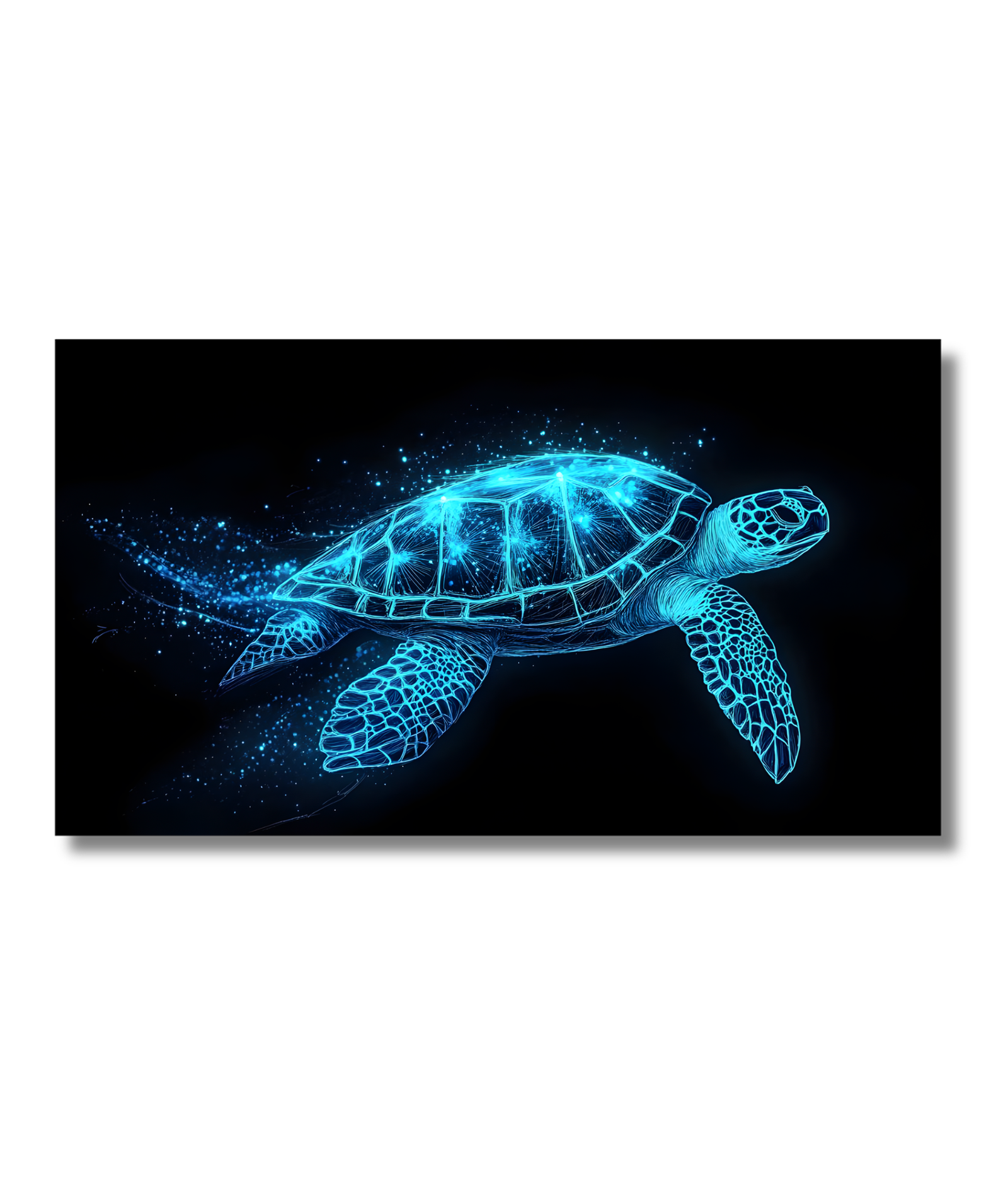 Tortuga destellos azules en un mar oscuro - Imagen 2