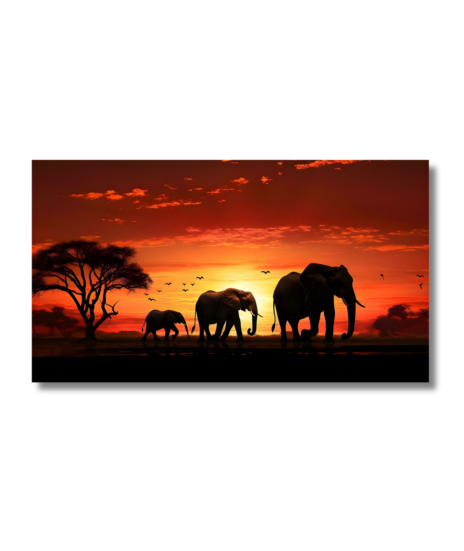 Elefantes en el atardecer africano - Imagen 2