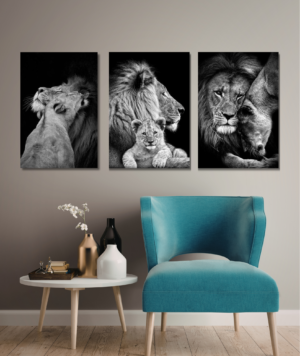 Set de 3 - Cuadros de animales, familia de leones 002