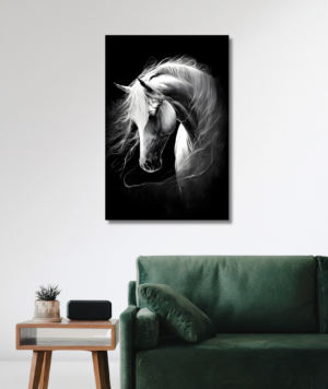 Cuadro animales - caballo blanco con fondo negro