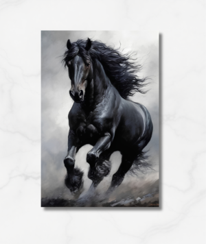 caballo salvaje negro indomable cabalgando