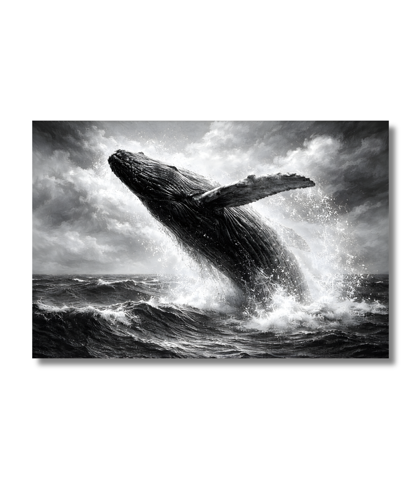 Ballena en blanco y negro - Imagen 2